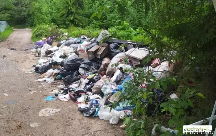 The Ministry of Ecology demands the removal of the landfill near SNT "Chizhegi" in the Kirovo-Chepetsky district.