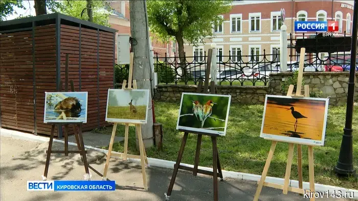 В кировском парке «Аполло» прошел День биоразнообразия.