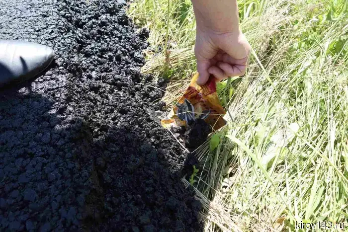 In Kotelnich, the road was laid over grass and garbage for 17 million.