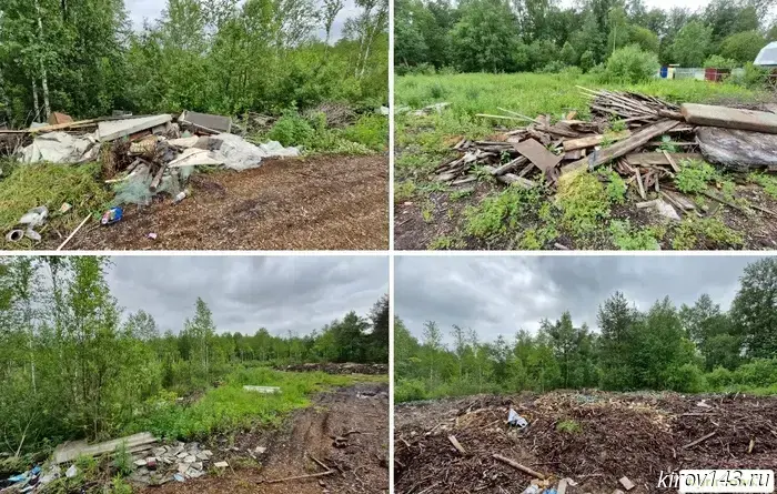 In Kirov, a court was asked to order the removal of a dump in a dacha cooperative.