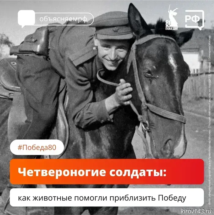 How animals helped to Win: from sapper dogs to elephant rescuers