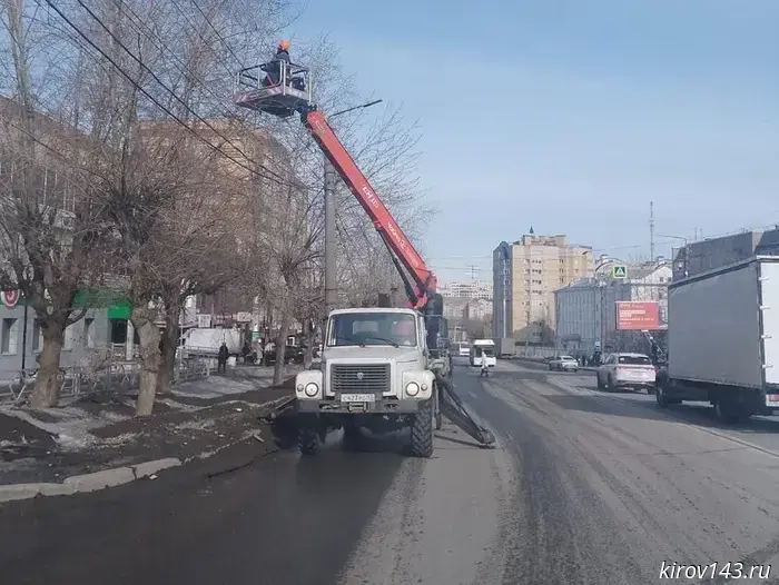 На выходных в Кирове сильный ветер повалил деревья на четырех улицах.