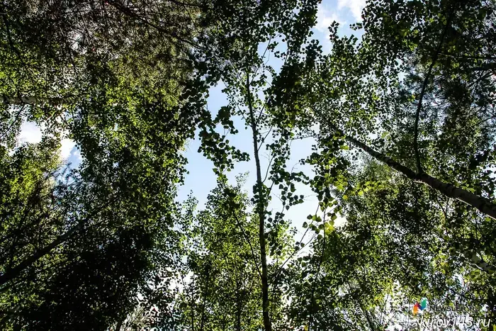 Kirov residents were restricted from staying in forests