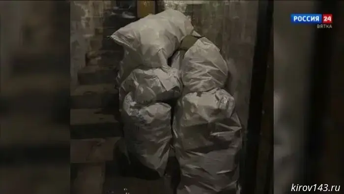 В Кирове правоохранительные органы confiscировали партию незаконной жидкости для вейпов на сумму свыше 1 миллиона рублей.