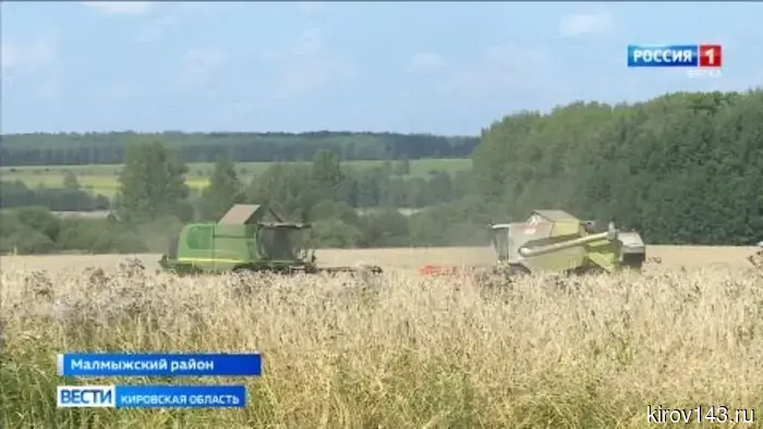 Аграрии Малмыжского района вышли на финишную прямую уборочной кампании