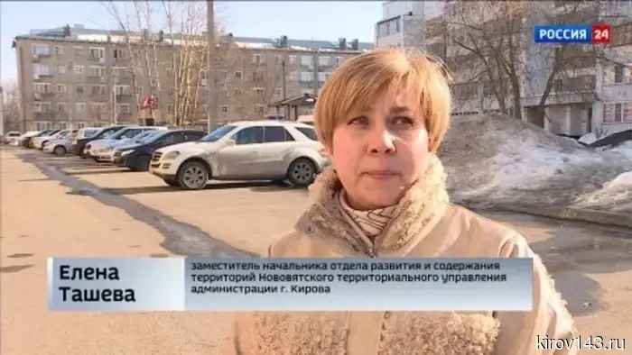 В Кирове жертвами бродячих собак стали домашние питомцы и люди