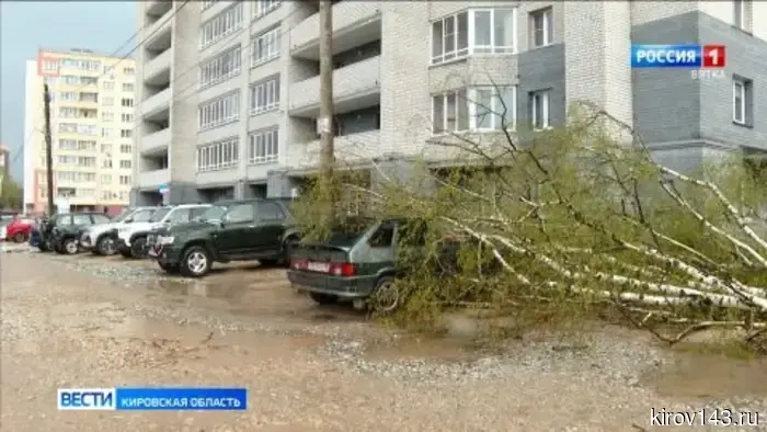 В Кировской области ликвидируют последствия урагана.