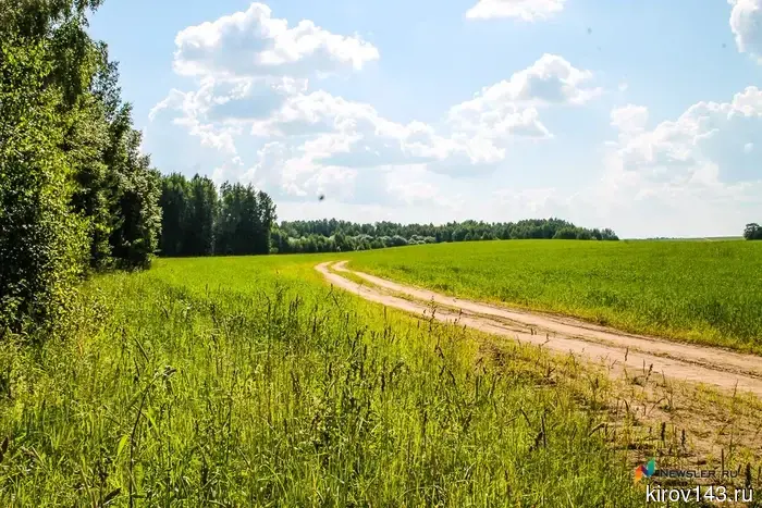 В Кировской области посадочные работы начнутся с 25 апреля.