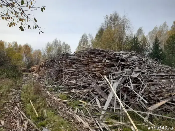 A dump was cleared up in the Bogorodsky district.