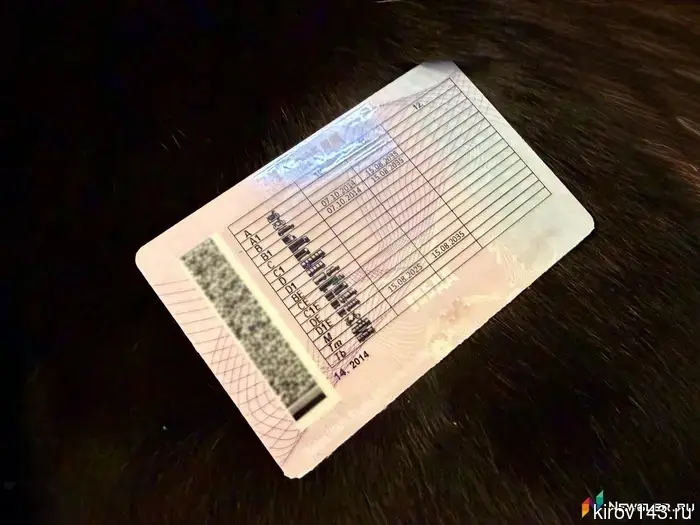 The QR code in the messenger has been equated to paper driver's licenses and vehicle registration certificates.