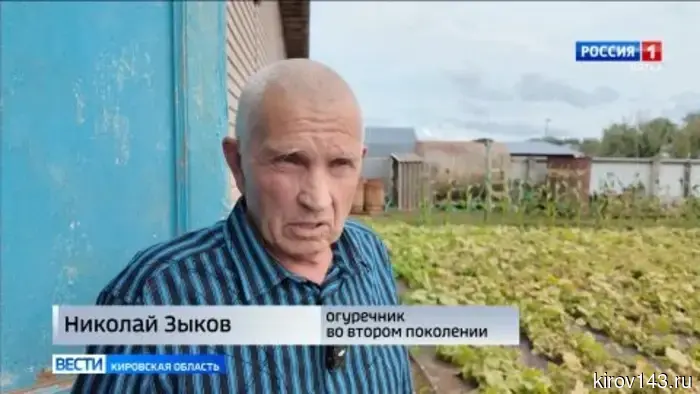 В Истобенске два поколения семьи Зыковых выращивают и солят огурцы по особому рецепту.