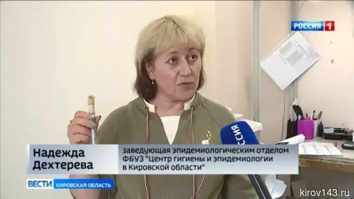Кировчанам рассказали о мерах безопасности и профилактике от укусов клещей