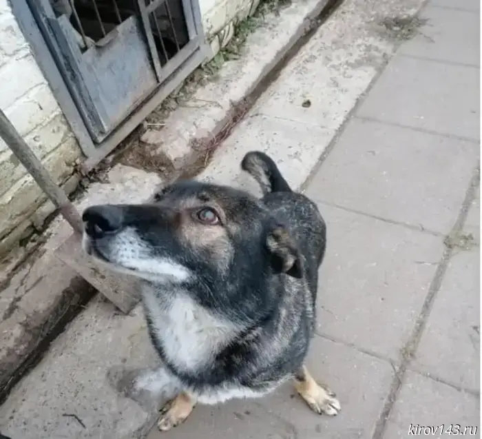 Joanna and Plumbum are looking for a new home.