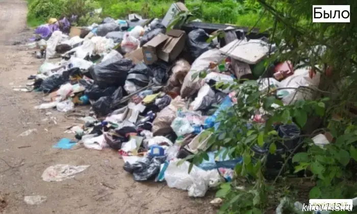 A hazardous waste dump was removed in the Kirovo-Chepetsk District.