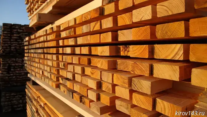 More than 100,000 cubic meters of lumber were taken out of Kirov Oblast.
