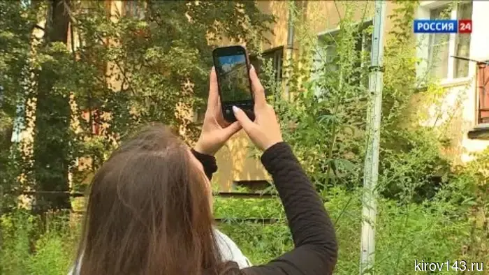 В Кирове оценили качество mowing травы.