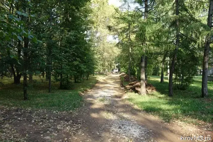 Trees are being cut down in Kirov Park.