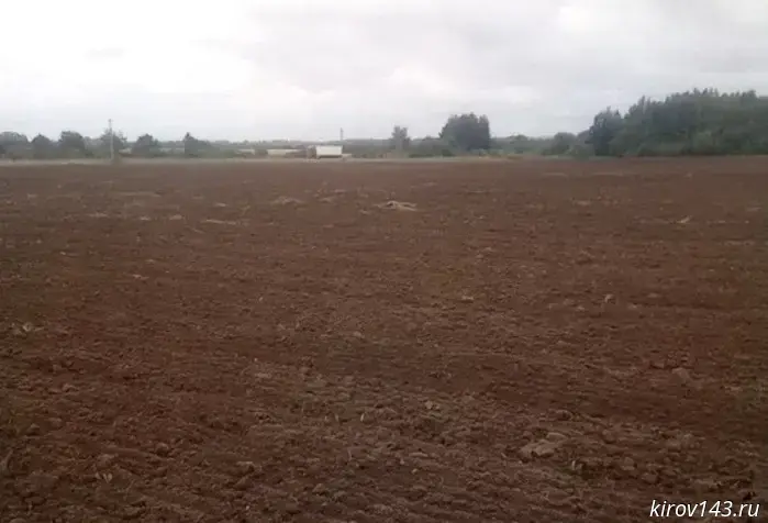 In Kirov Oblast, an individual was forced to plow a plot of land.