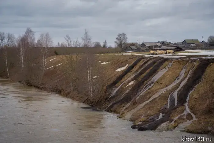 In Kirov, an agricultural enterprise dumped manure into the Bystritsa.