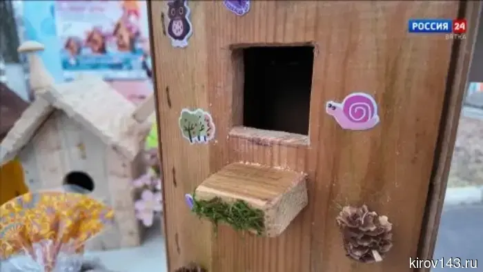 В кировском парке «Аполло» прошёл экологический конкурс скворечников и бельчатников.