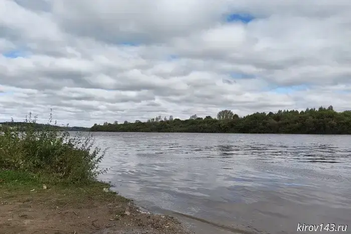 В реках Кировской области стало много мальков.