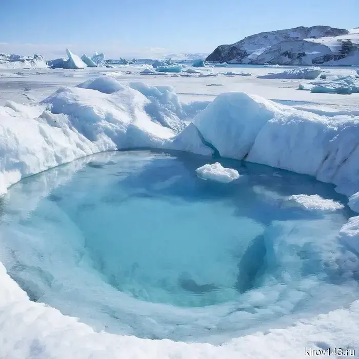 Новый оазис в Антарктиде открыли ученые из России