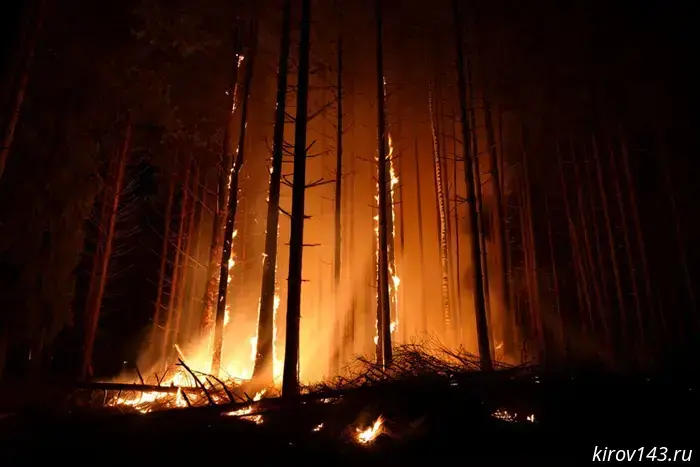 Kirov residents were told how to prevent a natural fire