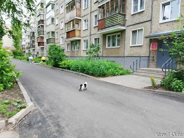 Five more courtyards in Kirov have been put in order.