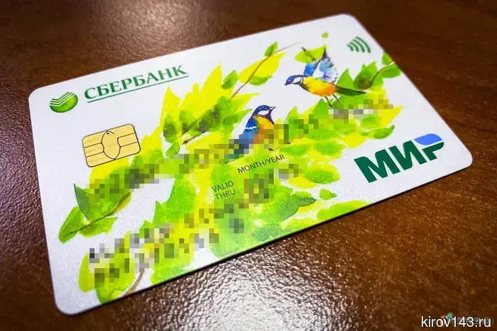 Кировская область занимает 36-е место по объему лимитов на кредитные карты.