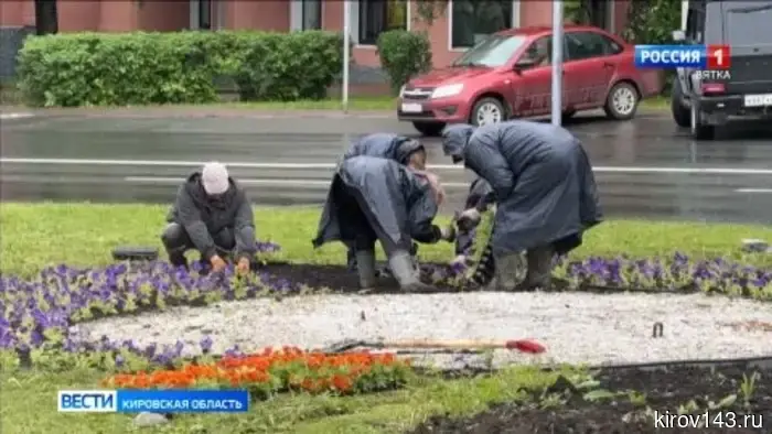 В Кирове планируют высадить более 34 тысяч цветов