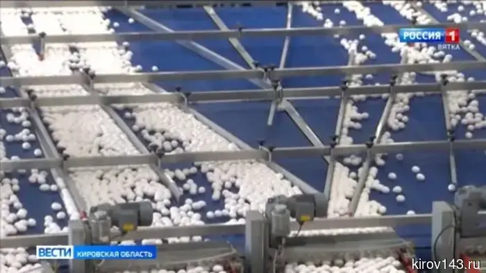 В правительстве Кировской области обсудили начало весенних полевых работ и планы по капремонту школ.