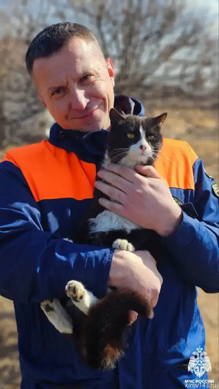 A cat has appeared in Russia that inspects helicopters before each departure.