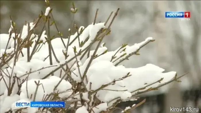 Кировчанам сообщили, каких еще неожиданностей стоит ожидать от погоды.