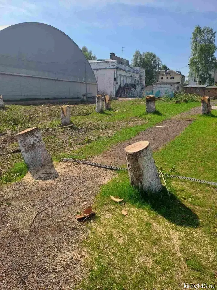 In Omutninsk, trees are being cut down as part of the landscaping.