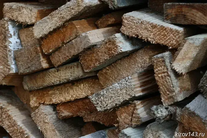 Kirov region increases lumber exports to India