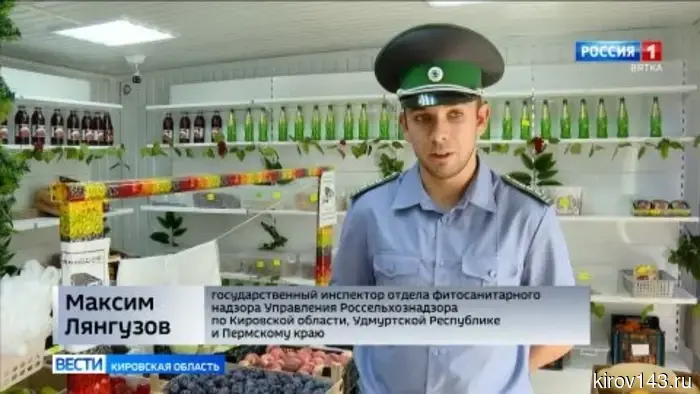 Кировчанам объяснили, как правильно выбрать вкусный арбуз.
