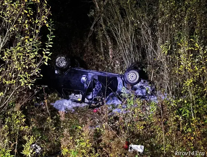 Details have emerged about a traffic accident involving a moose that occurred in Kirov.