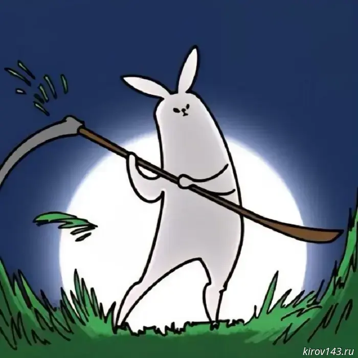 Butina's hare broke free