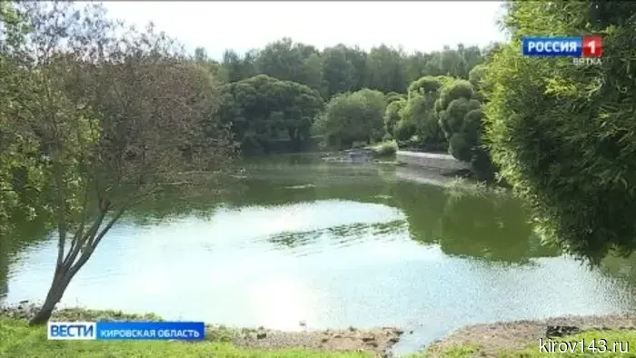 Синоптики рассказали, когда в этом году в Кирове ждать «бабье лето»