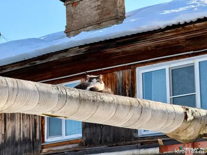 В Кирове ожидается «сухой» уикенд с колебаниями температуры на 12 градусов.