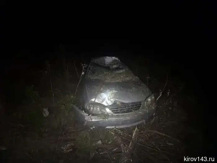 В Кировской области мужчина сбил лося