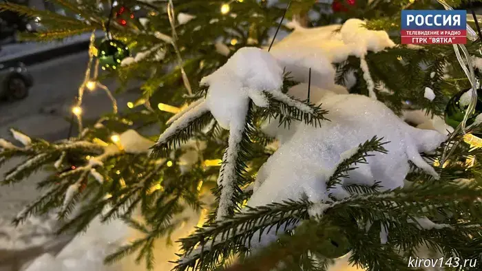 В Весёлое прибыли новогодние ёлки и подарки из Кировской области.