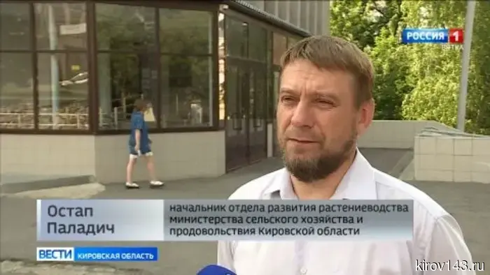Аграрии Кировской области готовятся к сбору урожая зерновых.
