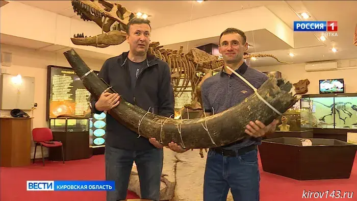 Двоякодышащая рыба из Мадыгена и трилобиты из Марокко поступили в коллекцию кировского музея.