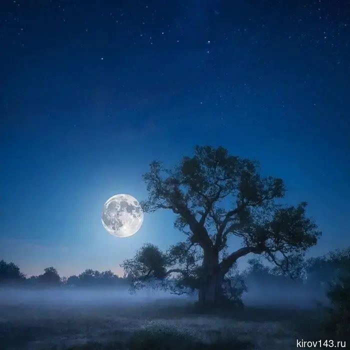 Данные астронома: в мае 2026 года ожидается редкое явление - сразу 2 полнолуния