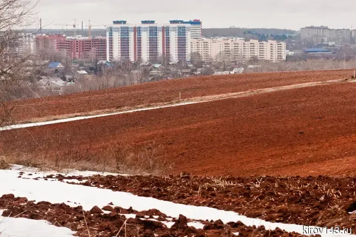 За год объём сельхозпроизводства в Кировской области вырос на 10%