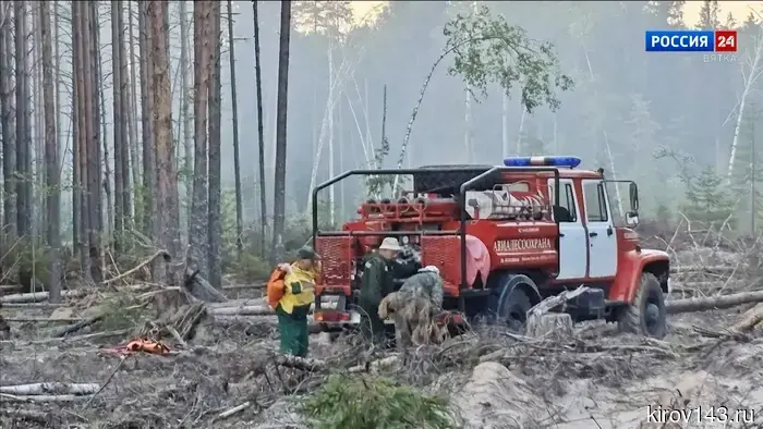 В Немском округе быстро ликвидировали лесной пожар.