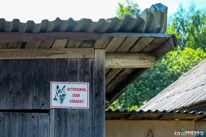Россельхознадзор провел проверку «кстининского ада».