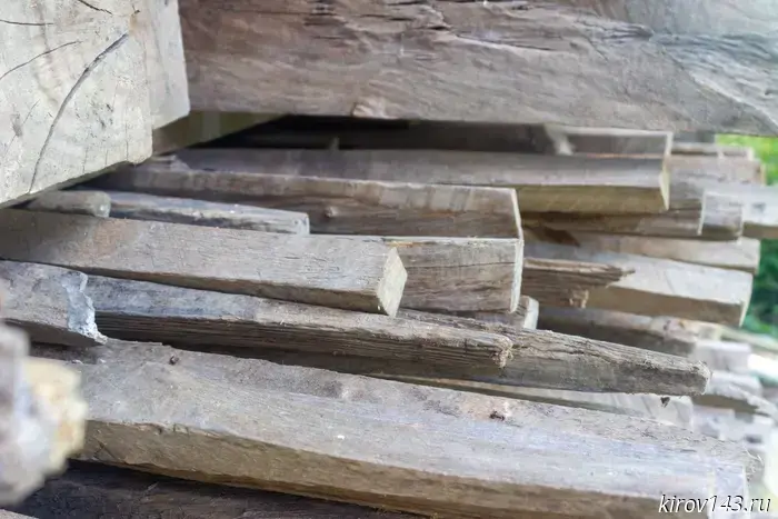 In Kirov Oblast, a company was fined for storing infected wood.