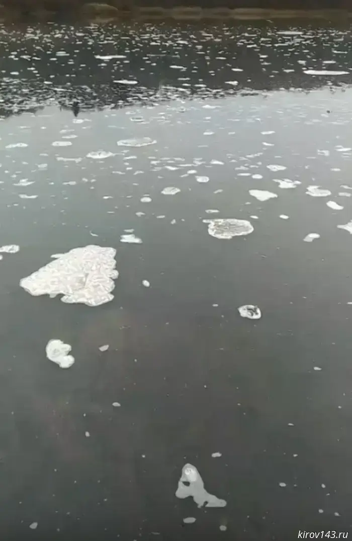 Residents of the Podosinovsky District are complaining en masse about pollution of the Yug River.